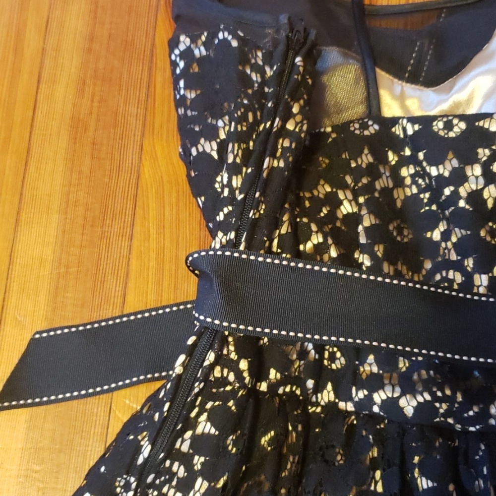 Gold and Black lace, silk, and tulle trim dress - Picture 7 of 7